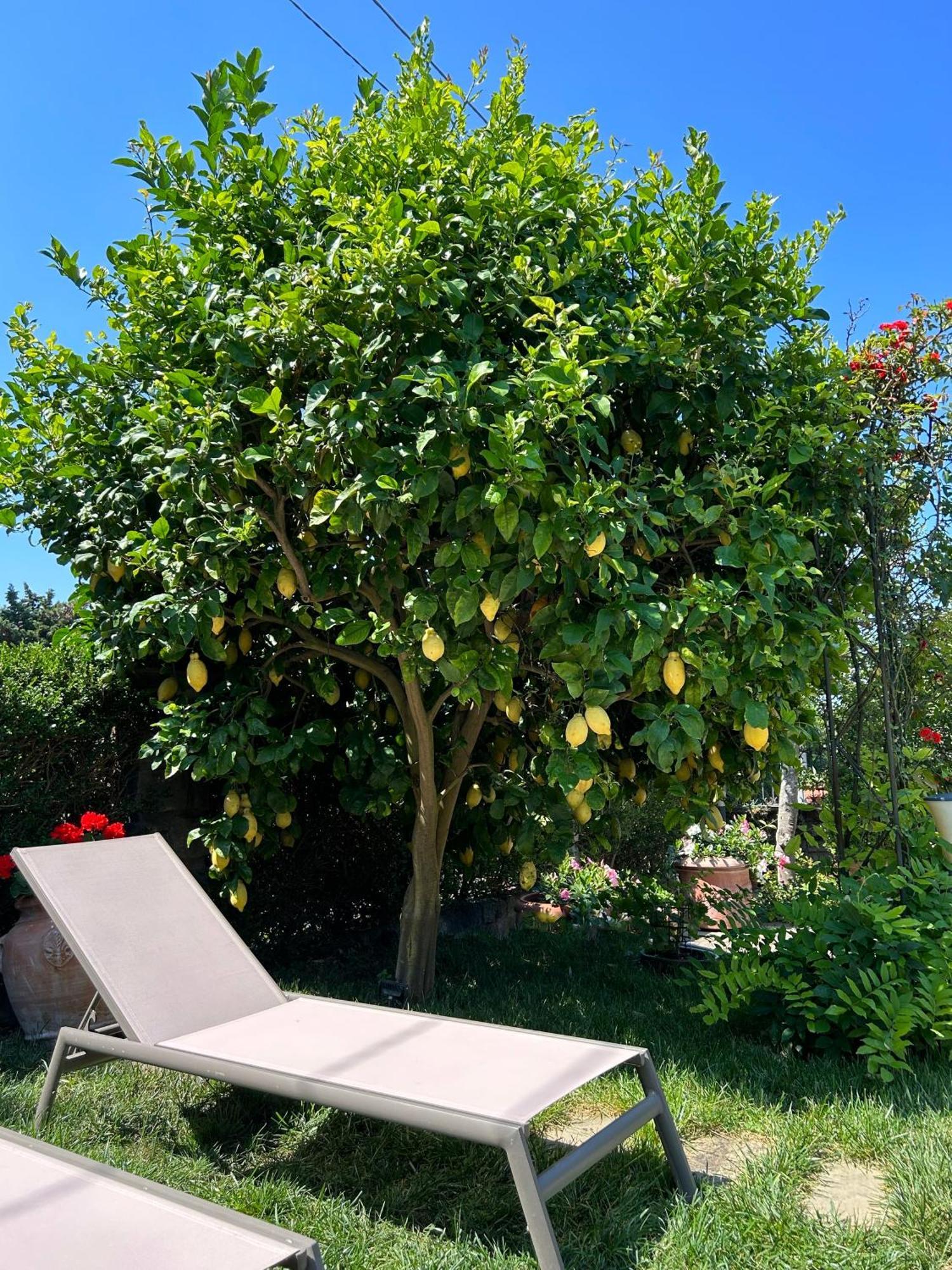 Maison Villa Angela Sant'Agata sui due Golfi Luaran gambar