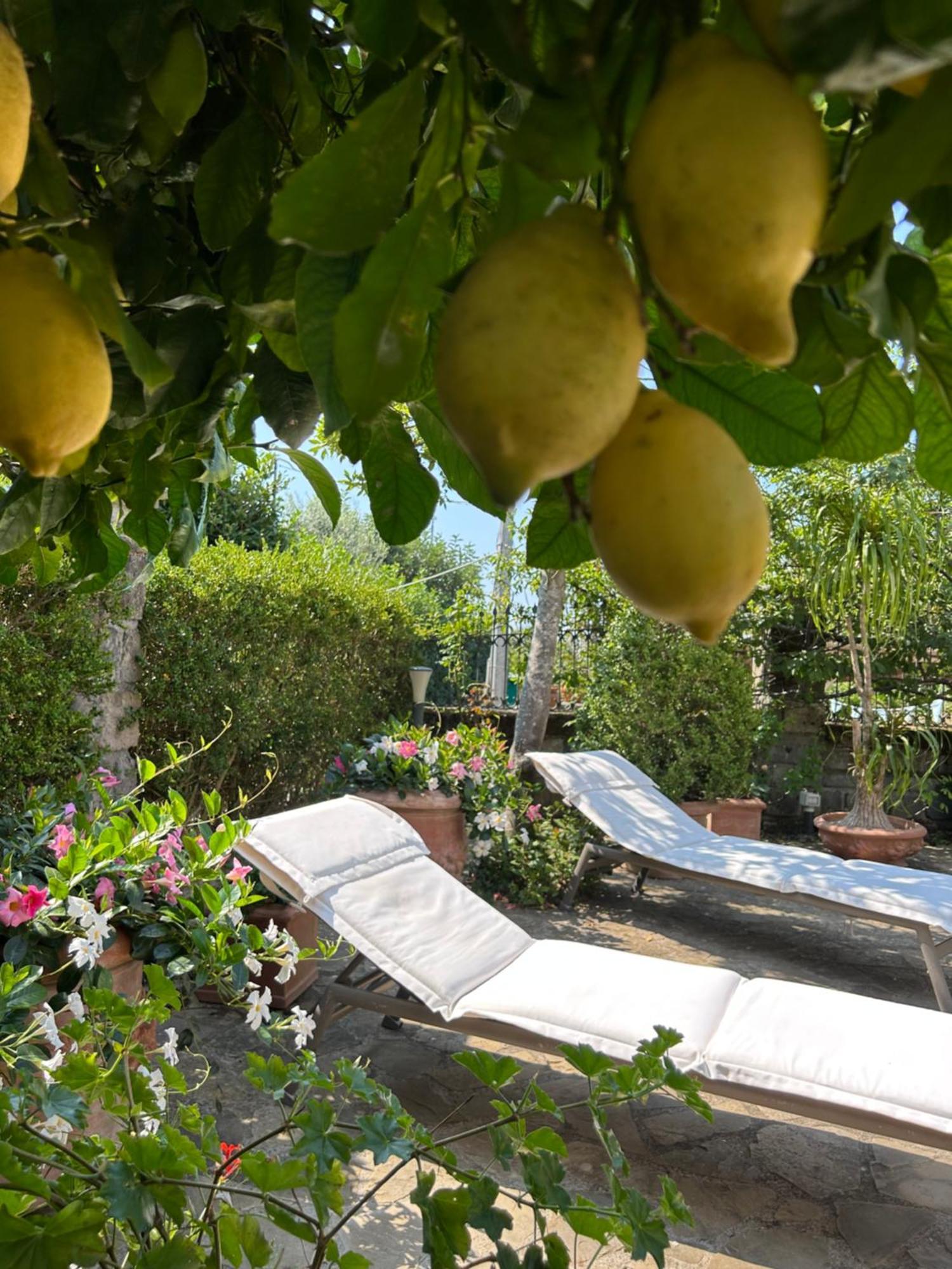 Maison Villa Angela Sant'Agata sui due Golfi Luaran gambar